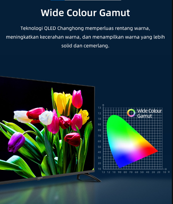 CHANGHONG LED TV U55QCN1 | 6 - Login Megastore