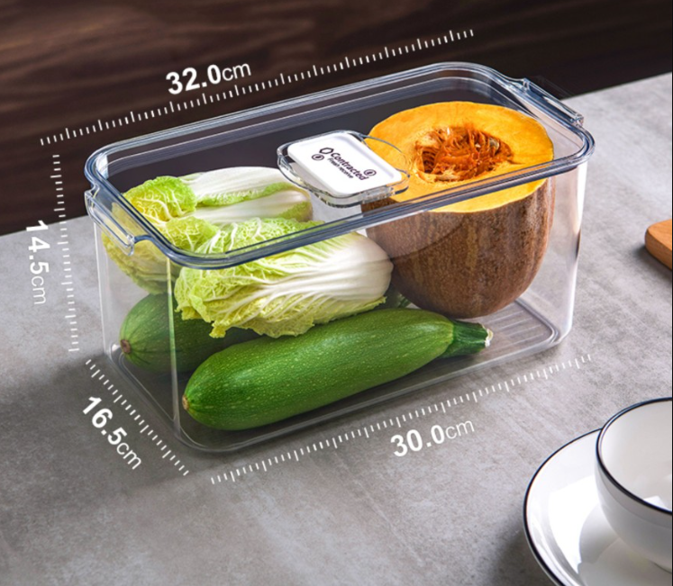 PB CONTAINER BOX JP001 Kotak container makanan kulkas small | 2 - Login Megastore