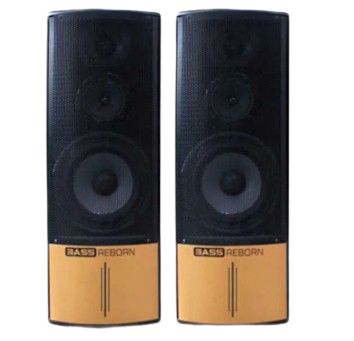 ROADMASTER ACTIVE SPEAKER BASS16 REBORN